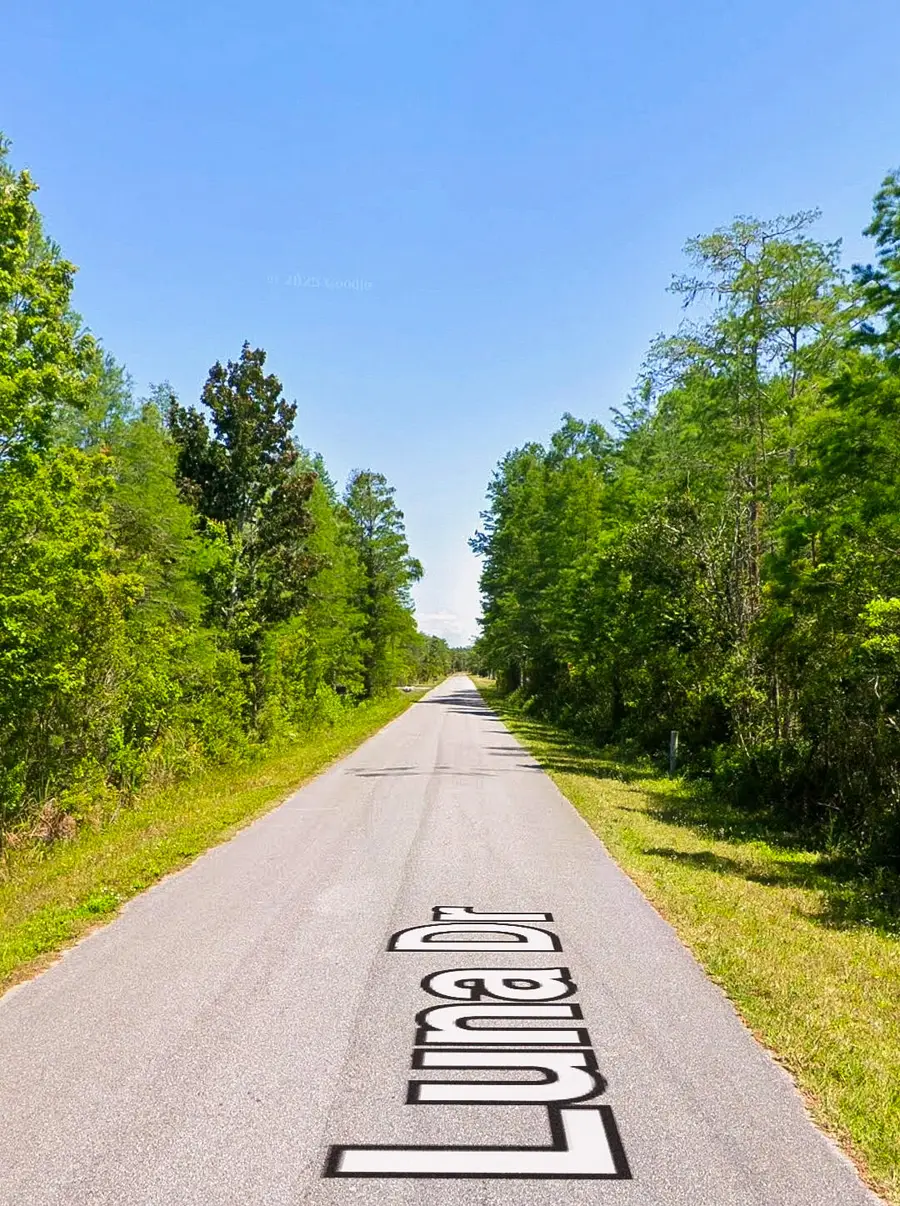 0 Luna Drive, South And East Osceola, FL 34773 - #2