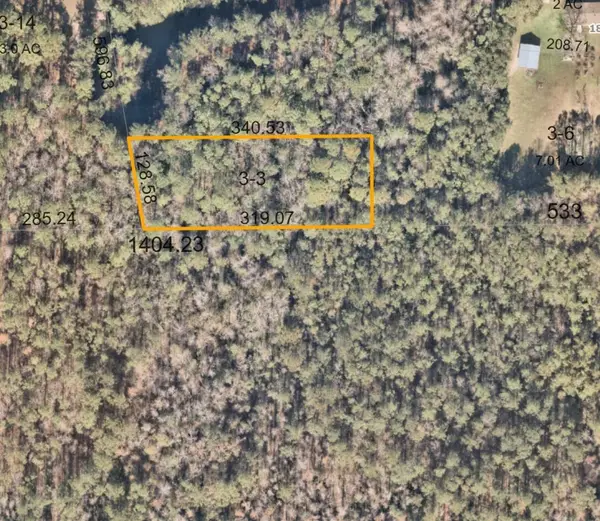 0 Trigg Road, ,, FL 32046
