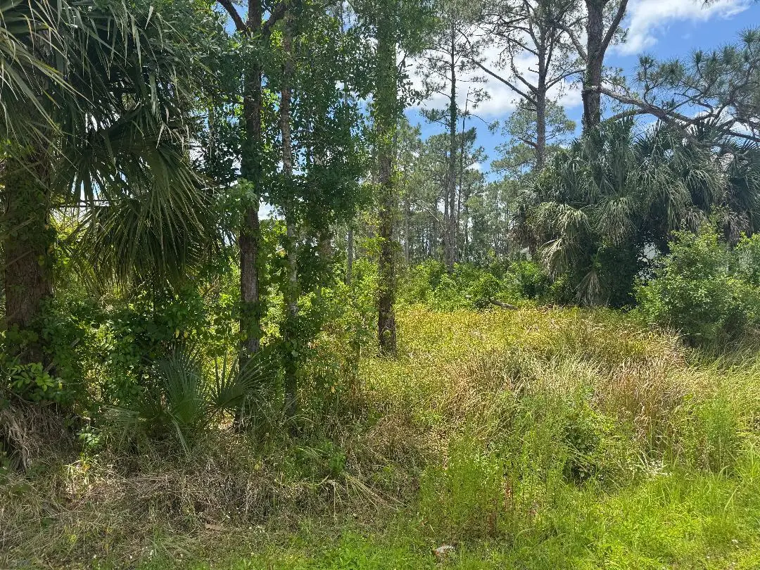1458 Transcoro Street Se, Palm Bay, FL 32909 - #1