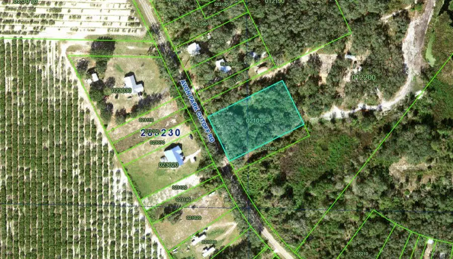 Avon Park Cutoff Road, Frostproof, FL 33843 - #3