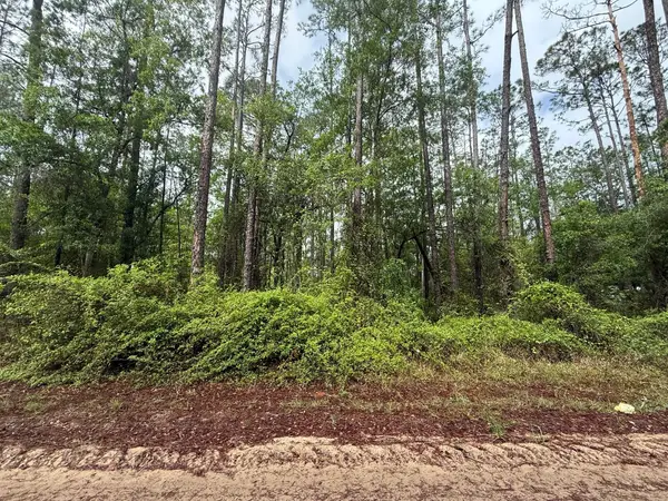 Tbd Seminole Avenue, ,, FL 32148