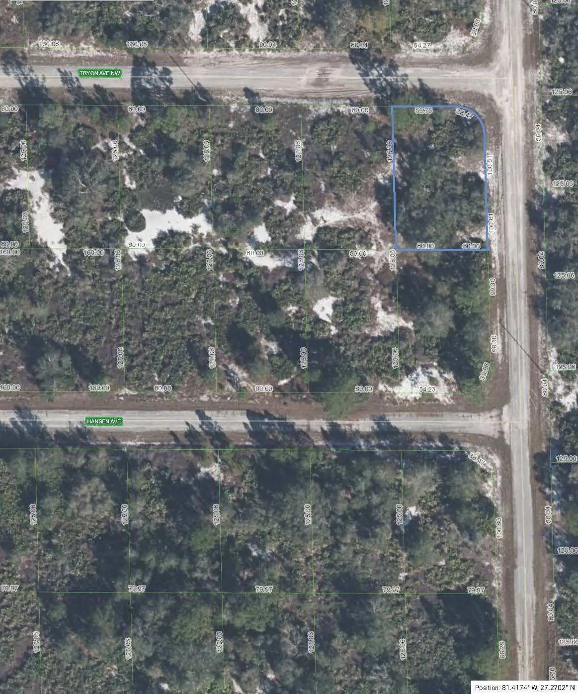 100 Tryon Avenue Nw, Lake Placid, FL 33852 - #1