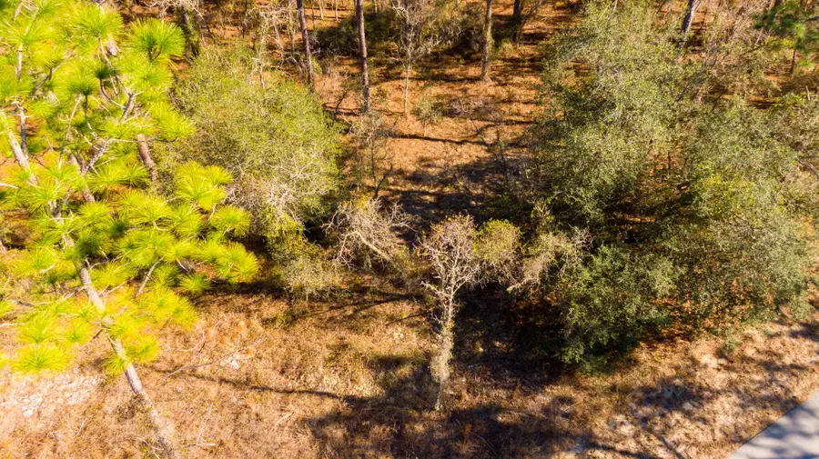 0000 SW Commodore Road, Rainbow Lakes Estates, FL 34431 - #2