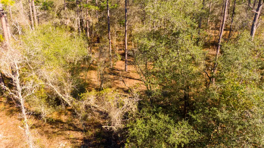 0000 SW Commodore Road, Rainbow Lakes Estates, FL 34431 - #3