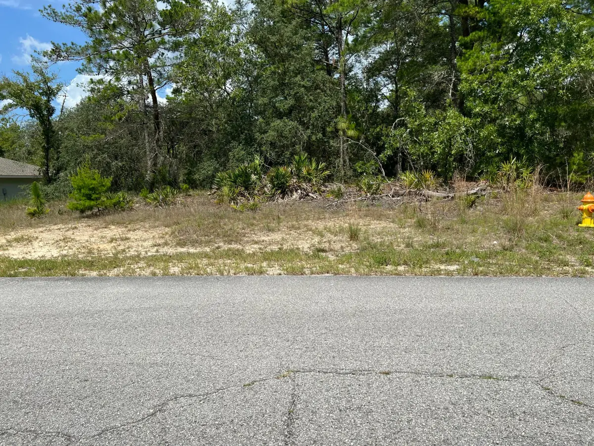 6876 N Sandborn Loop, Pine Ridge, FL 34433 - #1