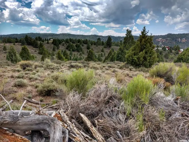 3225 Uinta Dr, Alton, UT 84710 - Image #3