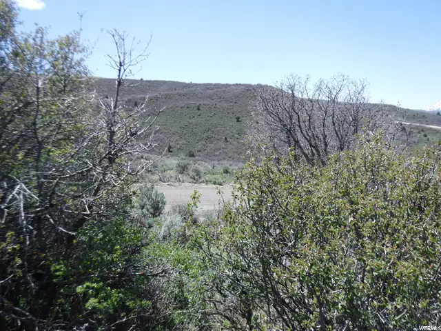 7321 E Oakview Dr #1473, Heber City, UT 84032 - Image #3