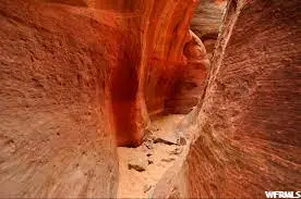 1 Caruso Ln #1, Orderville, UT 84758 - Image #3