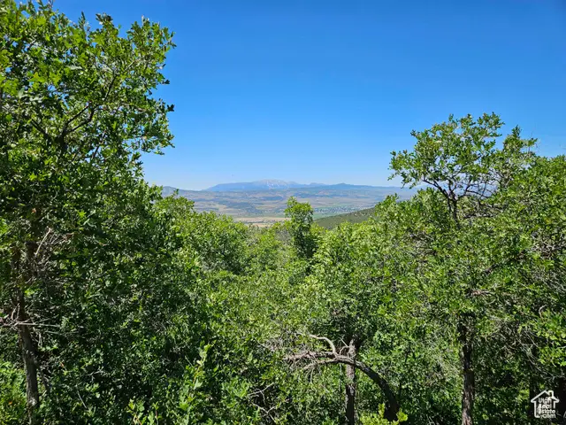 646 E Wolf Hollow Rd S #646, Fairview, UT 84629 - Image #2