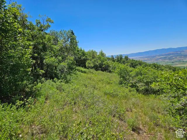 646 E Wolf Hollow Rd S #646, Fairview, UT 84629 - Image #3
