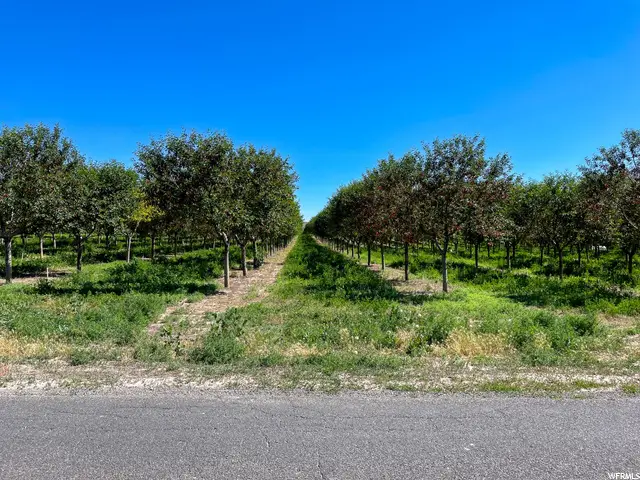 2151 N York Ln #11, Genola, UT 84655 - Image #3