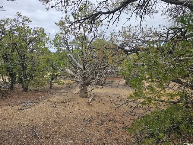 0 #6, Fruitland, UT 84027 - Image #2