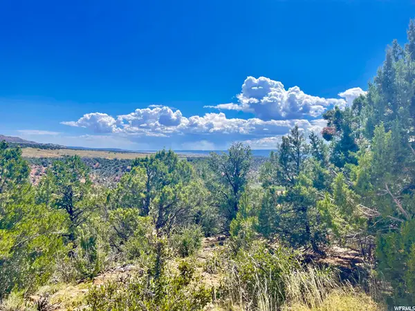 9 Lot 120 Cedar Mt. #120, Duchesne, UT 84021