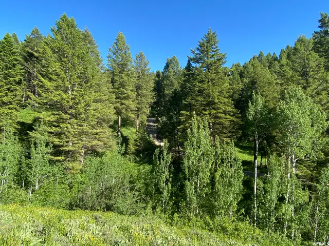 400 Grover Dry Farm Rd, Afton, WY 83110 - Image #3