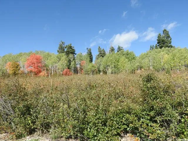 14 E Main Road Dr #14, Fairview, UT 84629 - Image #1