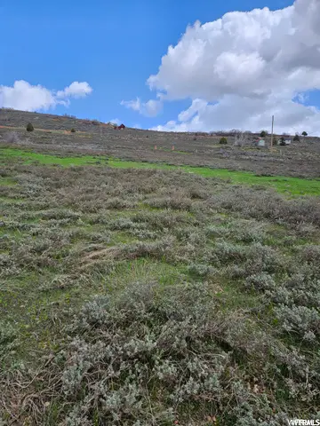 #375, Huntsville, UT 84317 - Image #2