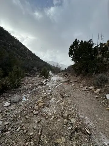 Address Withheld By Seller, Wales, UT 84667 - Image #3