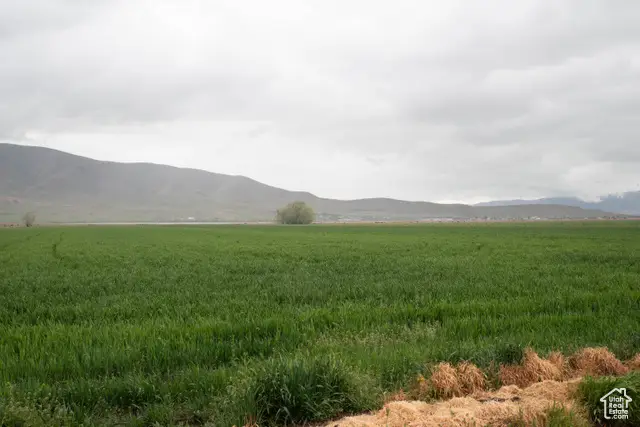 6900 S 4400 W, Benjamin, UT 84660 - Image #3