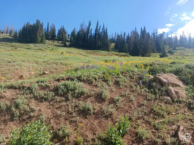 170 E Whispering Pines Dr, Mount Pleasant, UT 84647 - Image #1