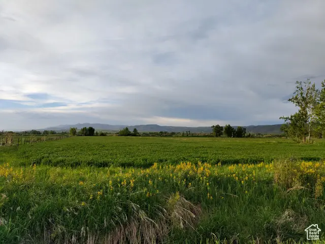 302 4th S, Dingle, ID 83233 - Image #1