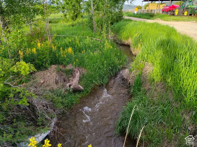 302 4th S, Dingle, ID 83233 - Image #2