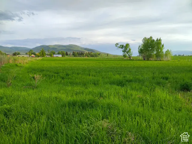 302 4th S, Dingle, ID 83233 - Image #3