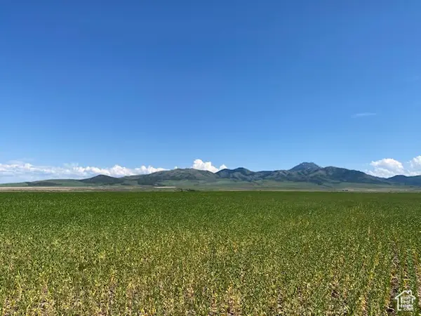 1 Cherry Crk, Downey, ID 83234