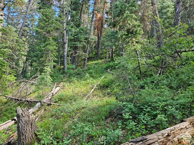 30 E Pine Creek Rd S #30, Mount Pleasant, UT 84647 - Image #2