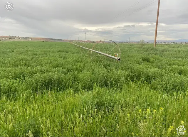 2518 S 1500 E, Ballard, UT 84066 - Image #1