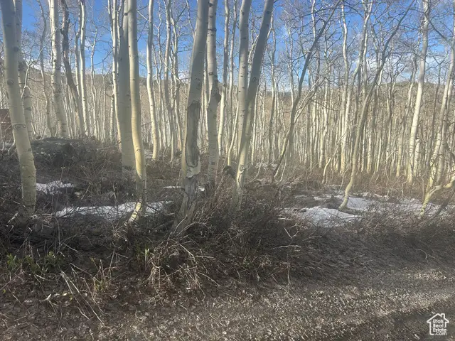 2496 W Mars Way #179, Midway, UT 84049 - #2