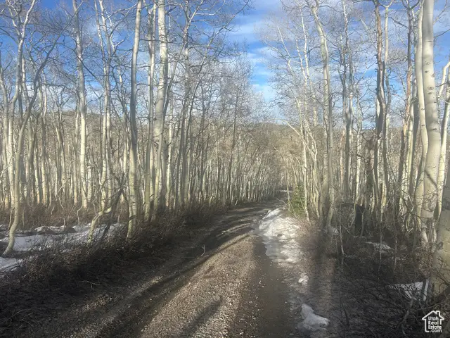 2496 W Mars Way #179, Midway, UT 84049 - #3