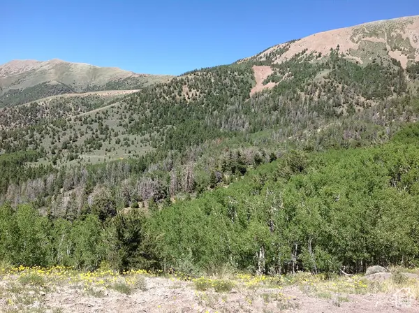 7000 N Durfey-oliphant Rd, Torrey, UT 84775