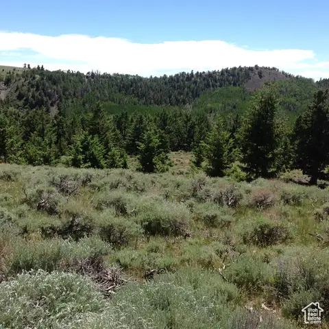 6000 N Durfey-oliphant Rd, Torrey, UT 84775 - Image #2