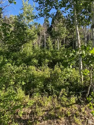 969 W Deep Forest Rd #D155, Wanship, UT 84017 - Image #3