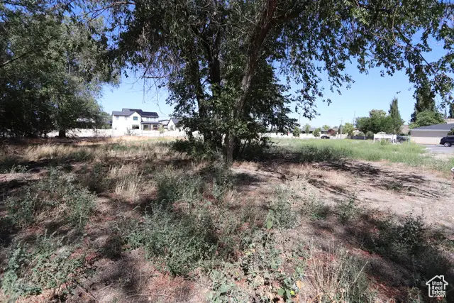 1314 E Victor Ln, Draper, UT 84020 - Image #3