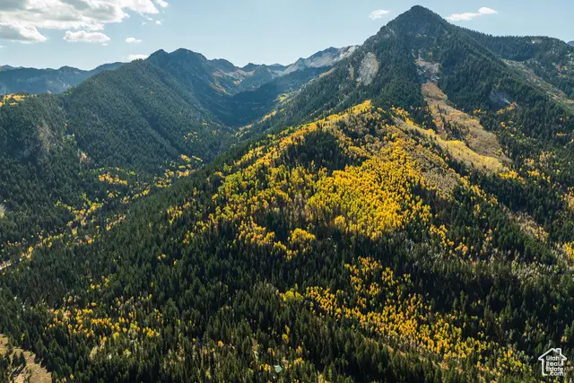 9407 E Wild Clematis Ln S, Salt Lake City, UT 84121 - Image #2