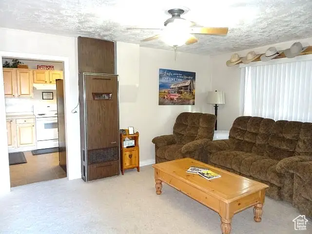 4040 Dingle Rd, Dingle, ID 83233 - Image #2