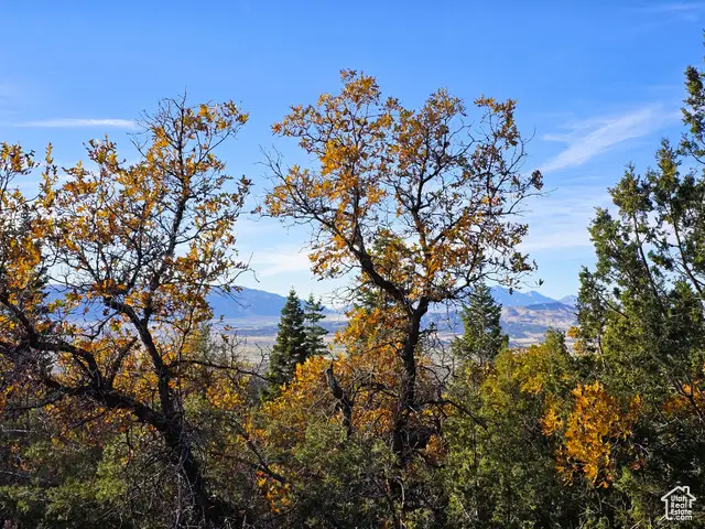 13 Pine Crest Dr #13, Mount Pleasant, UT 84647 - Image #2