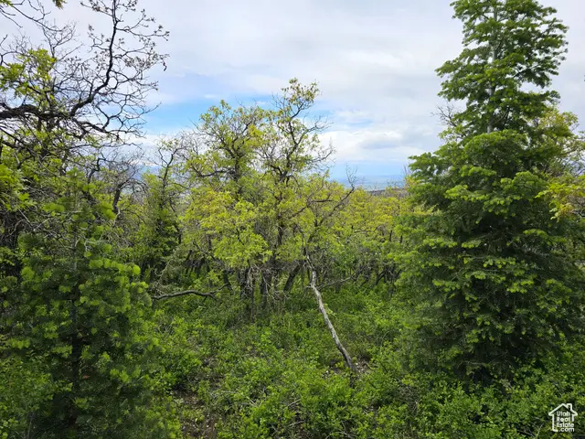 13 Pine Crest Dr #13, Mount Pleasant, UT 84647 - Image #3