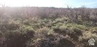 54 N Mount Baldy Loop W #54, Indianola, UT 84629 - Image #3