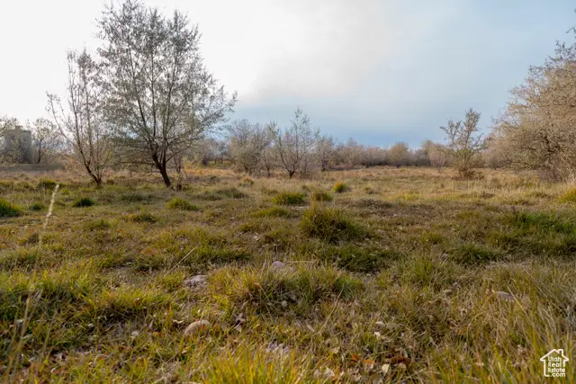 4502 E 6000 N, Roosevelt, UT 84066 - Image #2