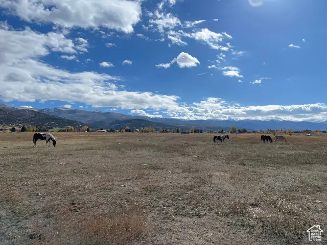 11690 E 22700 N #1, Fairview, UT 84629 - Image #1