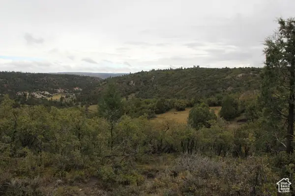 1980 W Manitoban Trl, Duck Creek Village, UT 84762