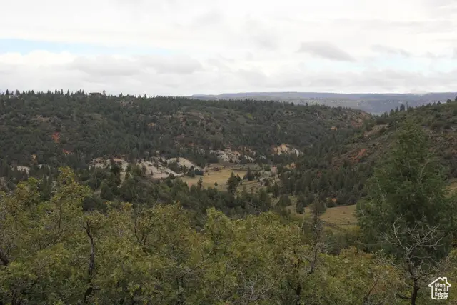 1980 W Manitoban Trl, Duck Creek Village, UT 84762 - Image #2