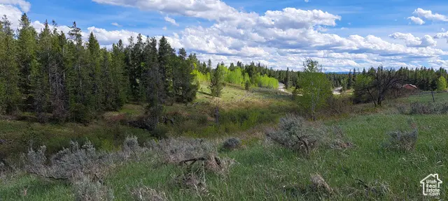 1670 Shadow Loop S #13, Ashton, ID 83420 - Image #3