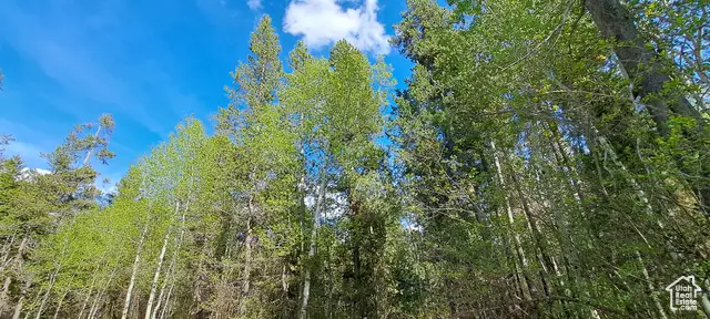 4376 Granite Rdg, Ashton, ID 83420 - Image #2