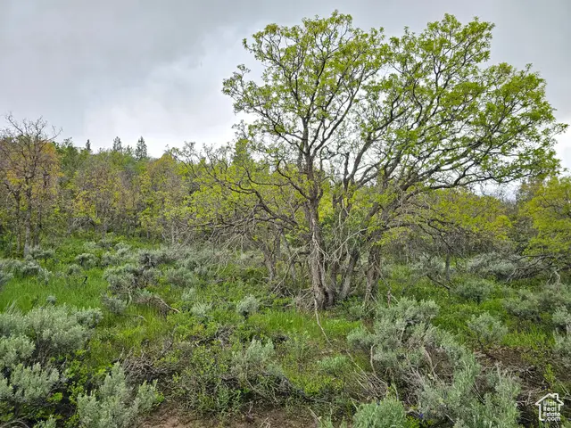 3 Whispering Pines Rd #3, Mount Pleasant, UT 84647 - Image #2