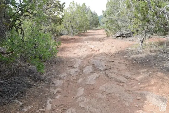 1250 E Little Salt Crk S, Levan, UT 84639 - Image #1