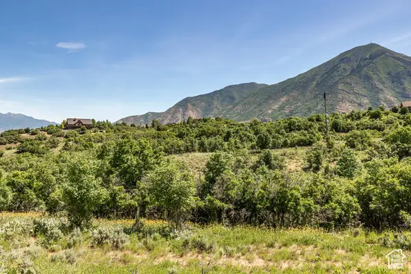 983 S Summit Creek Dr #170, Woodland Hills, UT 84653