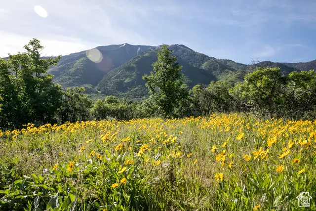 983 S Summit Creek Dr #170, Woodland Hills, UT 84653 - Image #3